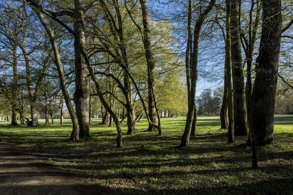 Chateau Des Briottieres Champigné Eksteriør bilde